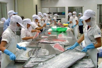 Cần tuyển gấp nam lao động  gia công sản xuất đóng hộp cá đông lạnh tại Đài Bắc
